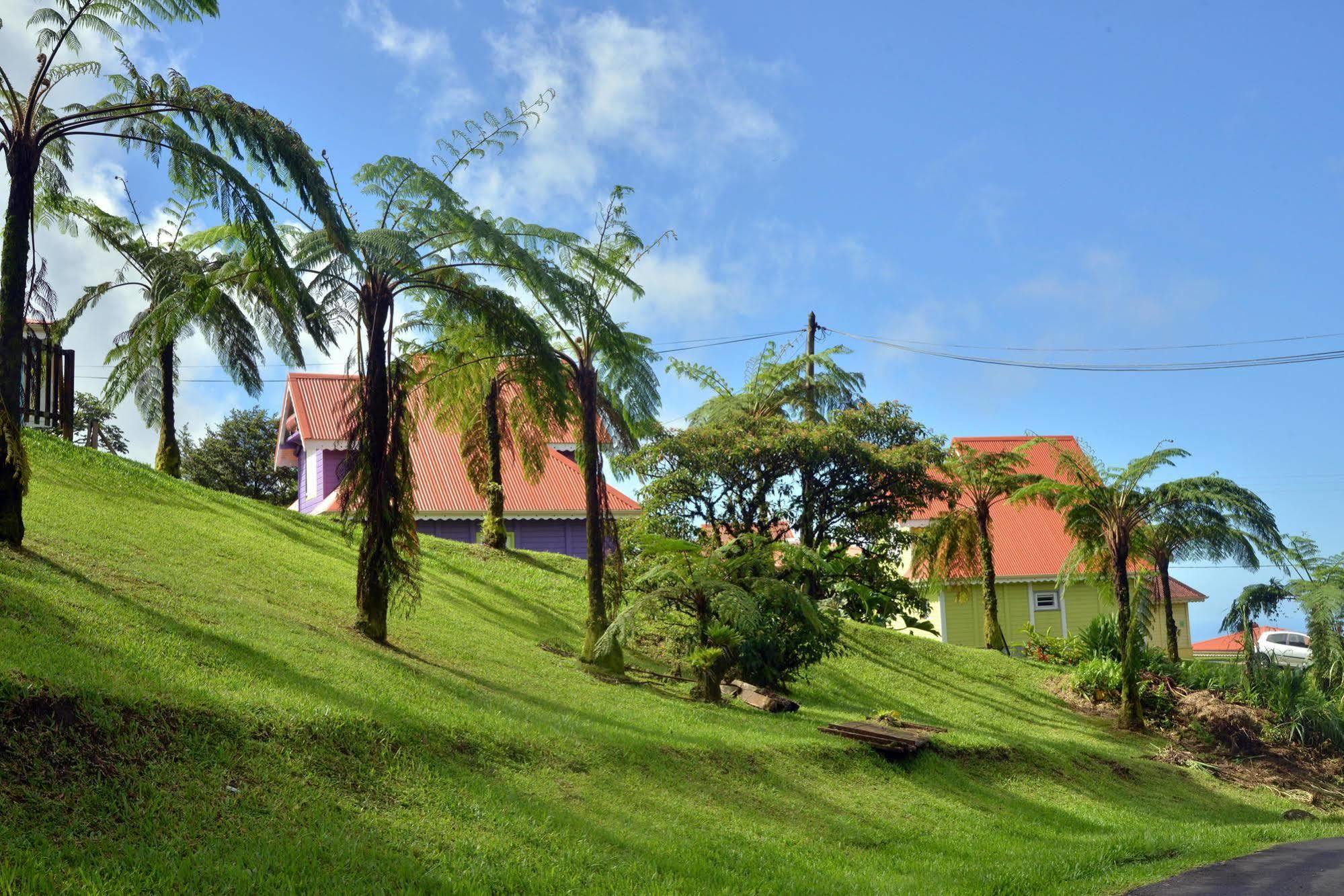 Auberge De La Montagne Pelee Hotel Saint-Pierre Bagian luar foto